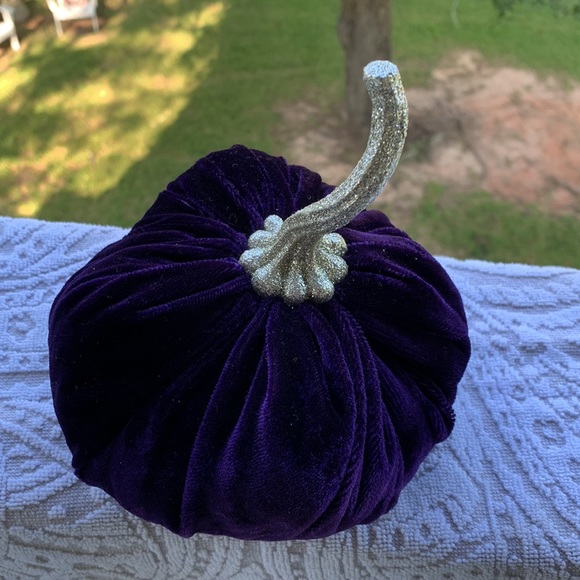 Purple velvet pumpkin - Picture 2 of 3